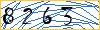Type the numbers that you see in the picture