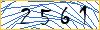 Type the numbers that you see in the picture