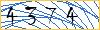 Type the numbers that you see in the picture