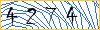 Type the numbers that you see in the picture