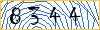 Type the numbers that you see in the picture