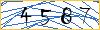 Type the numbers that you see in the picture