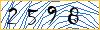 Type the numbers that you see in the picture