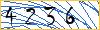 Type the numbers that you see in the picture