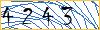 Type the numbers that you see in the picture