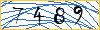 Type the numbers that you see in the picture