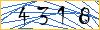 Type the numbers that you see in the picture