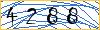 Type the numbers that you see in the picture