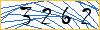 Type the numbers that you see in the picture