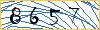 Type the numbers that you see in the picture