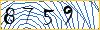 Type the numbers that you see in the picture
