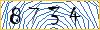 Type the numbers that you see in the picture