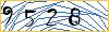 Type the numbers that you see in the picture