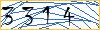 Type the numbers that you see in the picture
