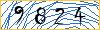 Type the numbers that you see in the picture