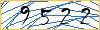 Type the numbers that you see in the picture