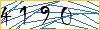 Type the numbers that you see in the picture