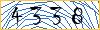 Type the numbers that you see in the picture