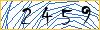 Type the numbers that you see in the picture