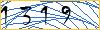 Type the numbers that you see in the picture