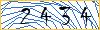 Type the numbers that you see in the picture