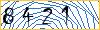 Type the numbers that you see in the picture