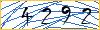 Type the numbers that you see in the picture