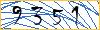 Type the numbers that you see in the picture