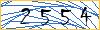 Type the numbers that you see in the picture