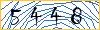 Type the numbers that you see in the picture
