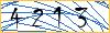 Type the numbers that you see in the picture
