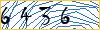 Type the numbers that you see in the picture