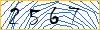 Type the numbers that you see in the picture