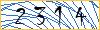 Type the numbers that you see in the picture