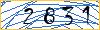 Type the numbers that you see in the picture