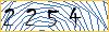 Type the numbers that you see in the picture