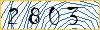 Type the numbers that you see in the picture