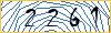 Type the numbers that you see in the picture