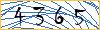 Type the numbers that you see in the picture