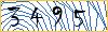 Type the numbers that you see in the picture