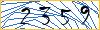 Type the numbers that you see in the picture
