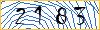 Type the numbers that you see in the picture