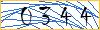 Type the numbers that you see in the picture