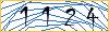 Type the numbers that you see in the picture