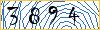Type the numbers that you see in the picture