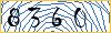 Type the numbers that you see in the picture