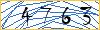 Type the numbers that you see in the picture