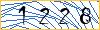 Type the numbers that you see in the picture
