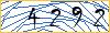 Type the numbers that you see in the picture