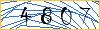 Type the numbers that you see in the picture